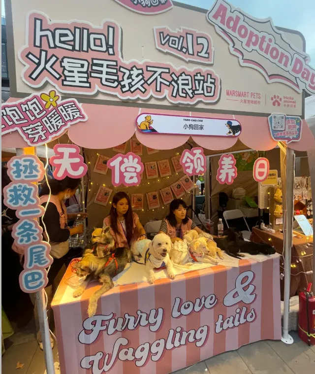 200+宠物大礼包|大型宠物活体市场开业啦!宠物摄影、免费疫苗、宠物运动会,超多福利等你来!