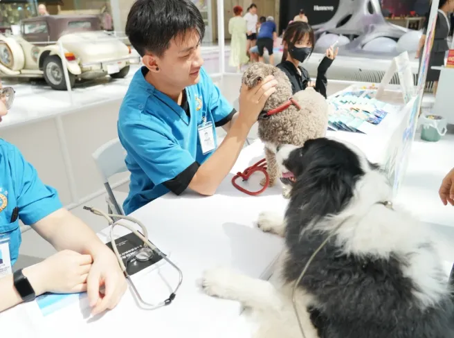 200+宠物大礼包|大型宠物活体市场开业啦!宠物摄影、免费疫苗、宠物运动会,超多福利等你来!