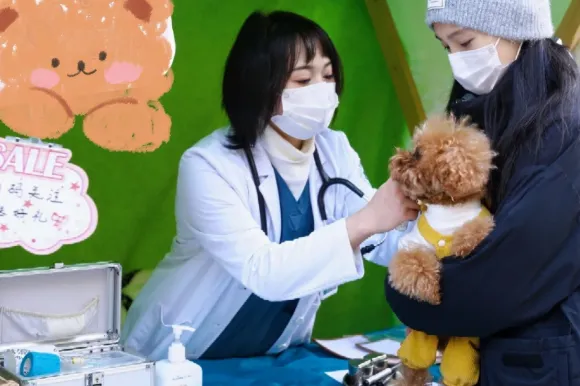 200+宠物大礼包|大型宠物活体市场开业啦!宠物摄影、免费疫苗、宠物运动会,超多福利等你来!