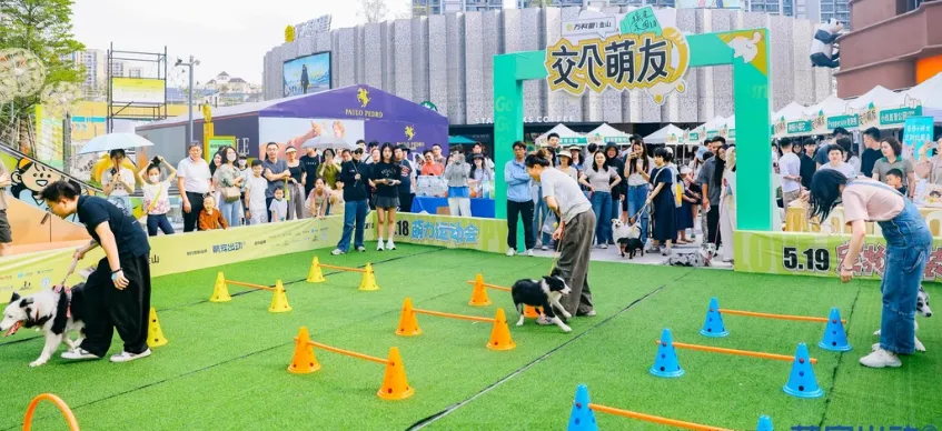 200+宠物大礼包|大型宠物活体市场开业啦!宠物摄影、免费疫苗、宠物运动会,超多福利等你来!