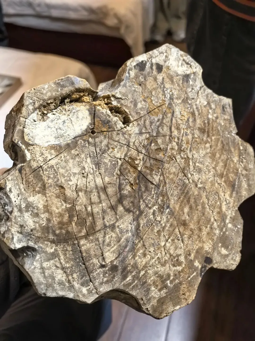 市场人少了,一样不耽误咱们淘宝捡漏