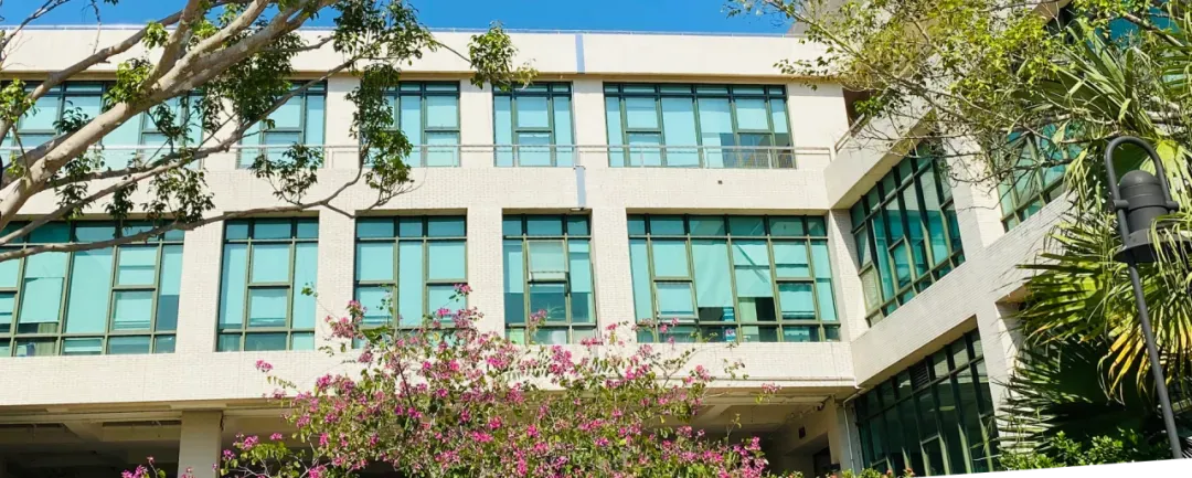 香港教育大学数字营销与电子商务文学硕士