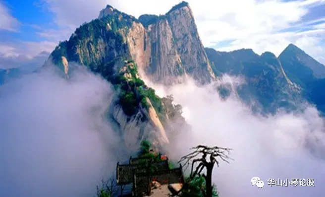 顺应市场、汰弱留强