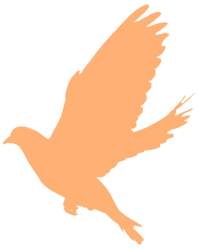 我们的节日|晋安区营销中心党支部开展“浓情拗九,福粥送暖,反诈护航”活动