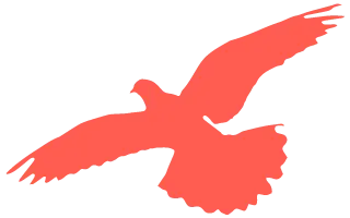 我们的节日|晋安区营销中心党支部开展“浓情拗九,福粥送暖,反诈护航”活动