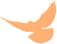 我们的节日|晋安区营销中心党支部开展“浓情拗九,福粥送暖,反诈护航”活动