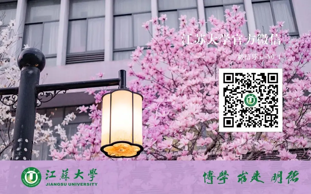 海外市场营收翻一番,有江大的强大助力!