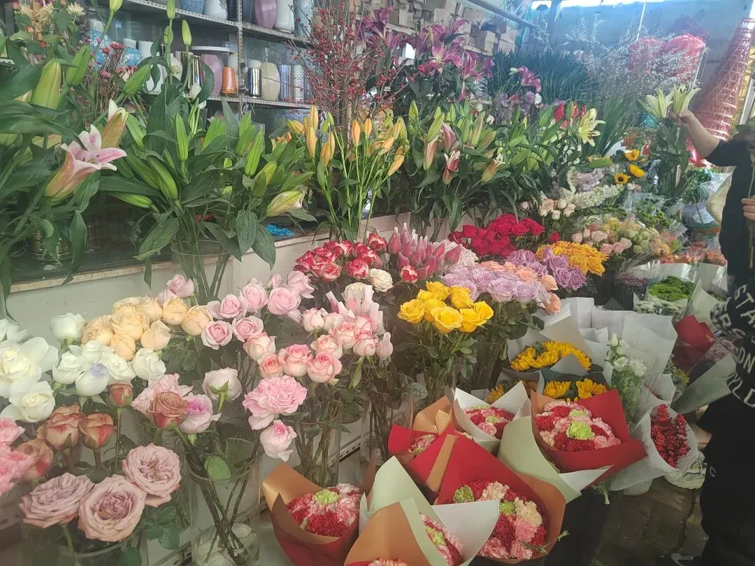 九朵荷|南阳花鸟市场:春天在这里落脚