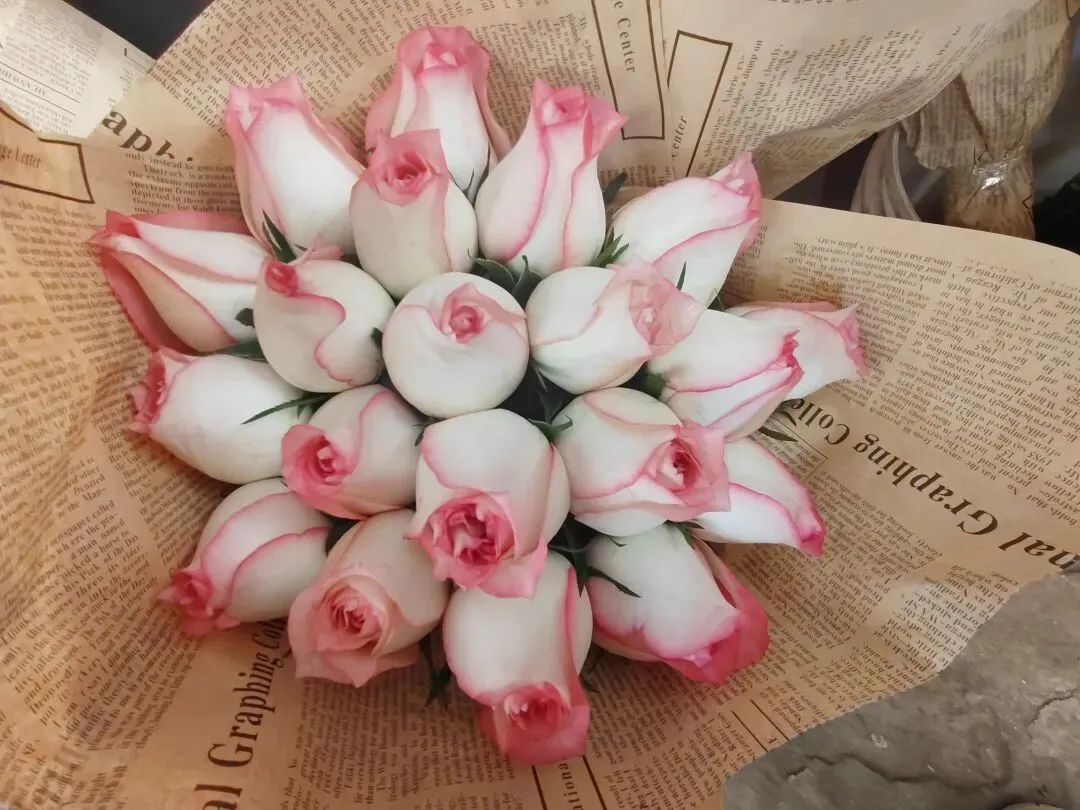 九朵荷|南阳花鸟市场:春天在这里落脚