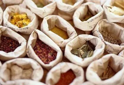 2026年中药材种植市场政策:迈向高质量与品牌化的发展新机遇