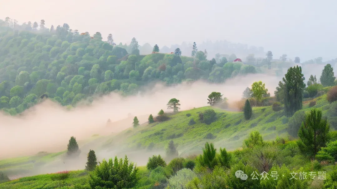 森林疗愈市场爆发,中国康养产业的下一个万亿级风口