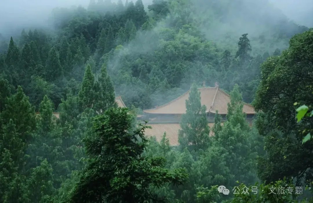 森林疗愈市场爆发,中国康养产业的下一个万亿级风口
