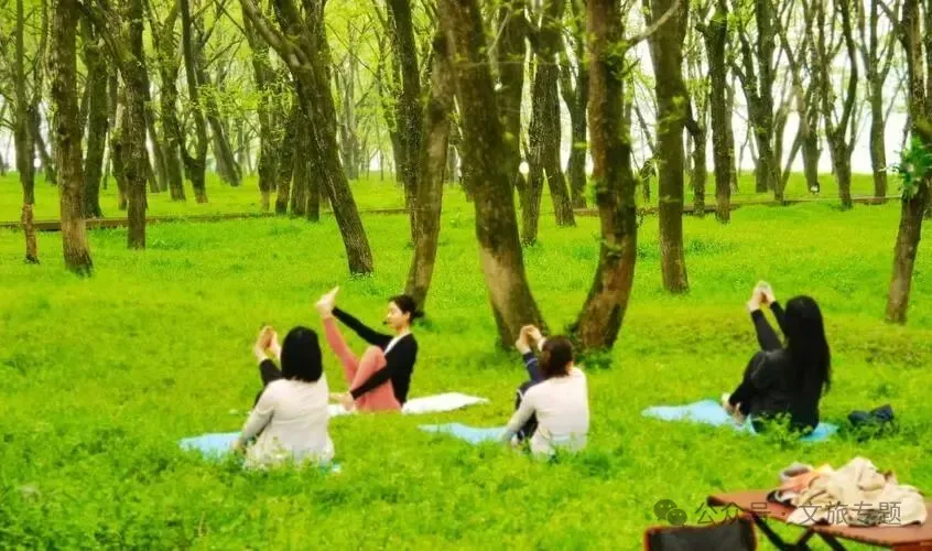 森林疗愈市场爆发,中国康养产业的下一个万亿级风口