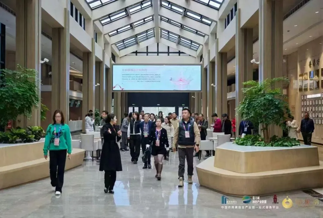 森林疗愈市场爆发,中国康养产业的下一个万亿级风口