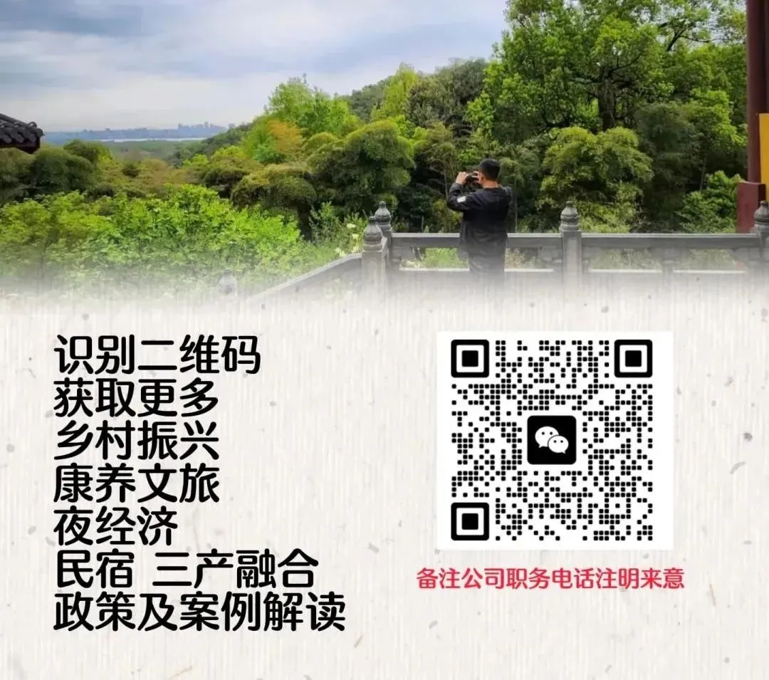 森林疗愈市场爆发,中国康养产业的下一个万亿级风口