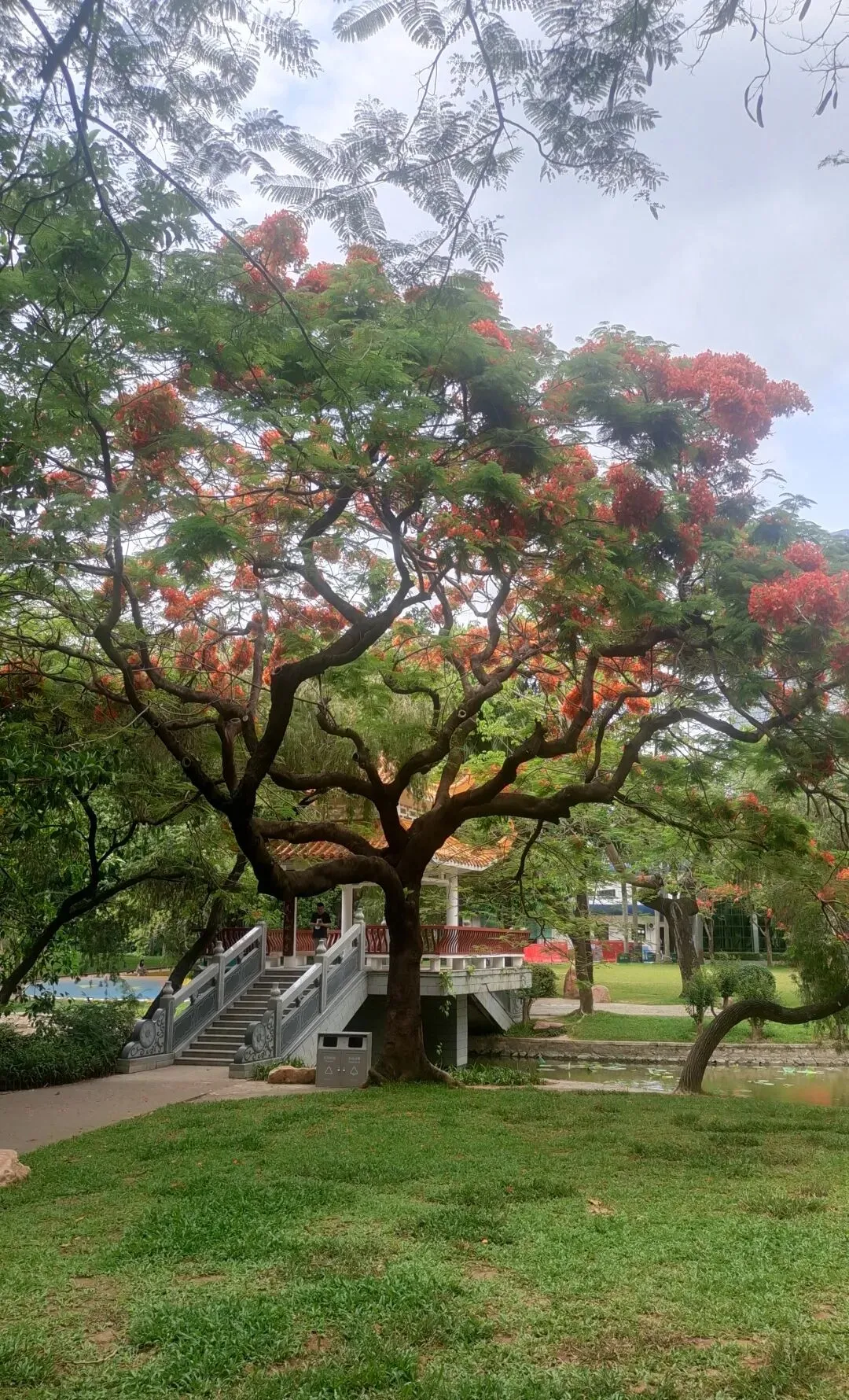 2026黄金珠宝市场三大趋势解读