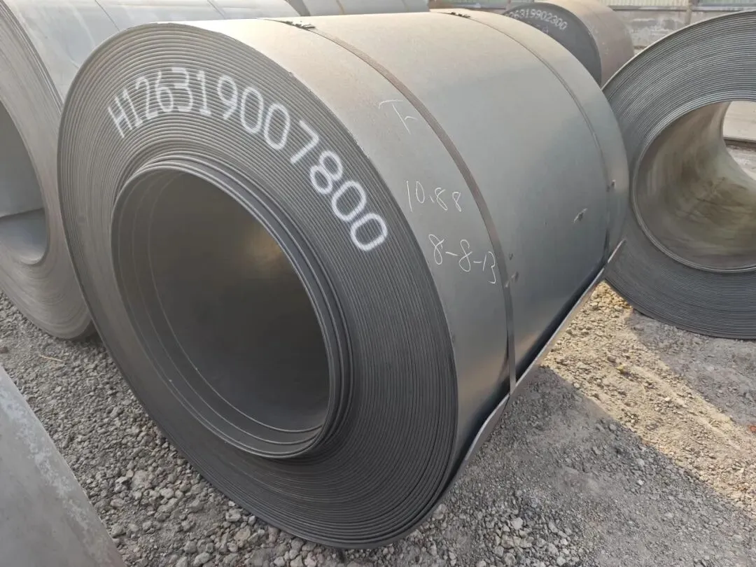 【销售预告】3月26日销售预告