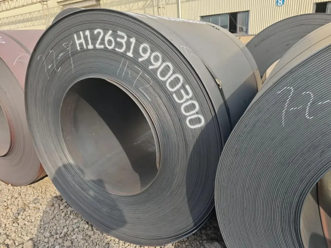 【销售预告】3月26日销售预告