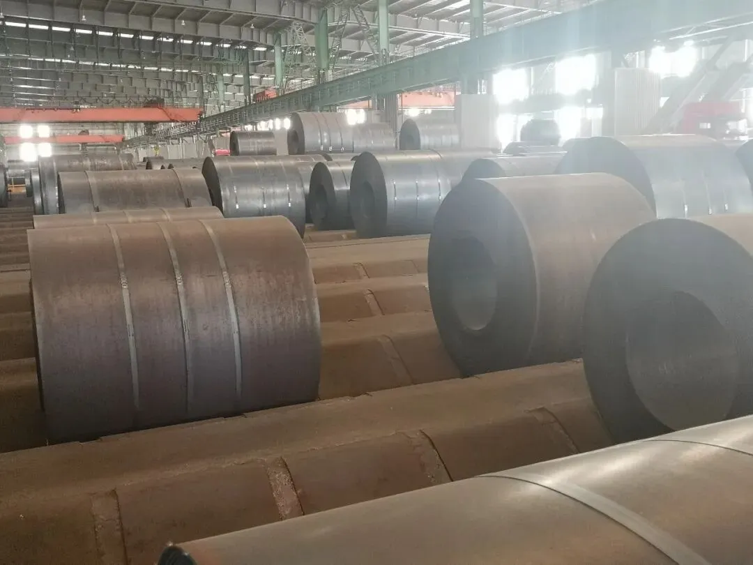 【销售预告】3月26日销售预告