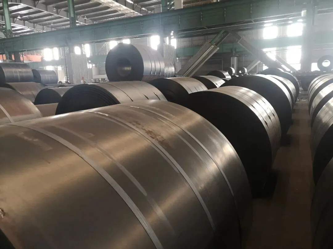 【销售预告】3月26日销售预告