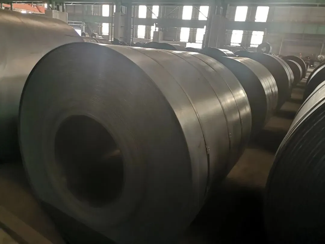 【销售预告】3月26日销售预告