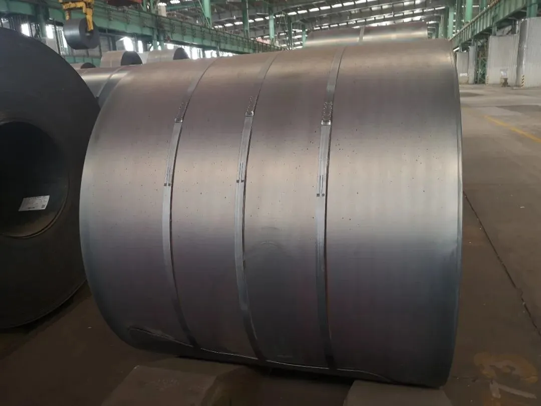 【销售预告】3月26日销售预告