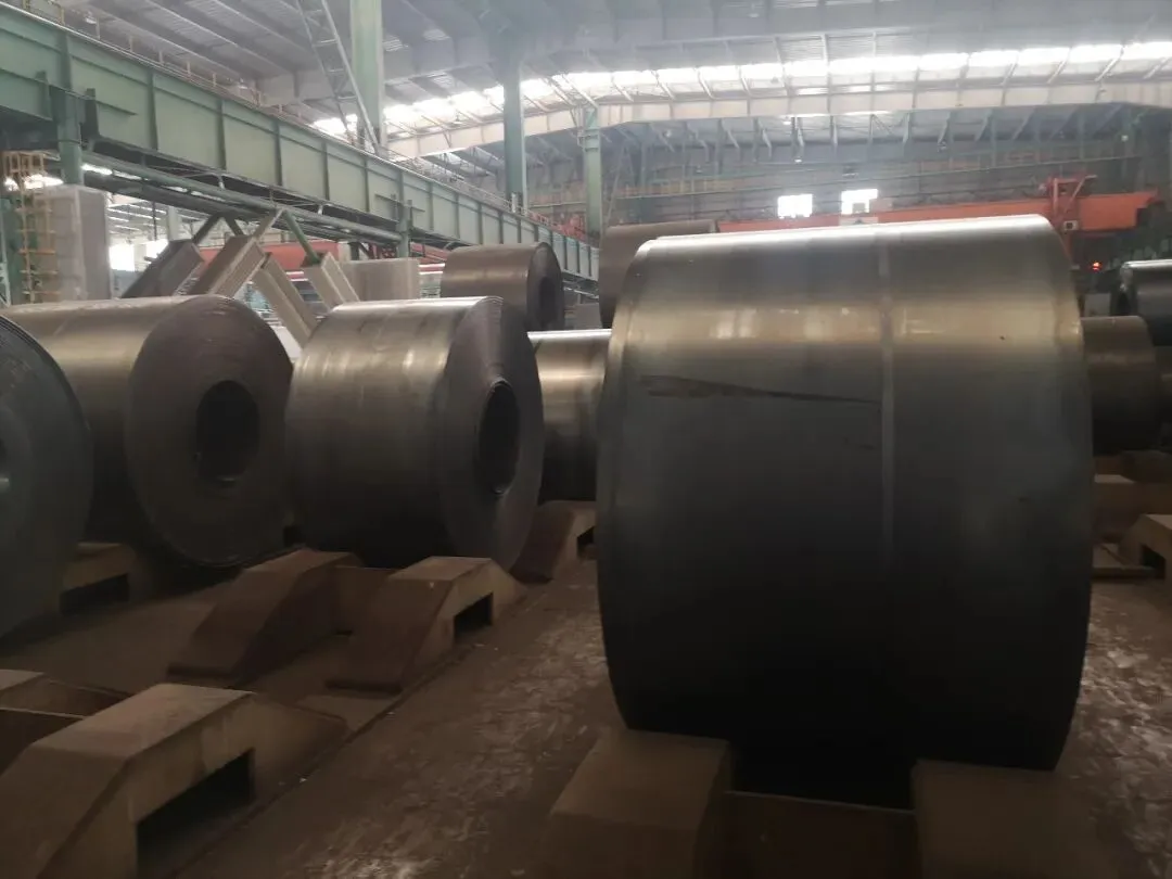 【销售预告】3月26日销售预告