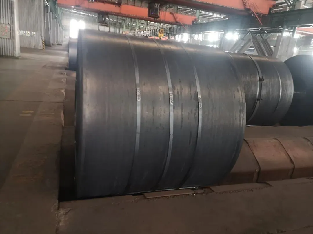 【销售预告】3月26日销售预告