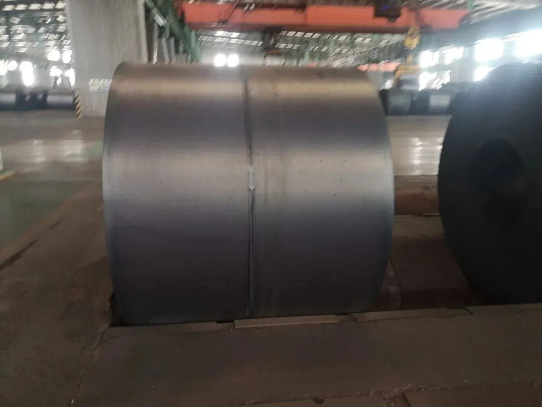 【销售预告】3月26日销售预告