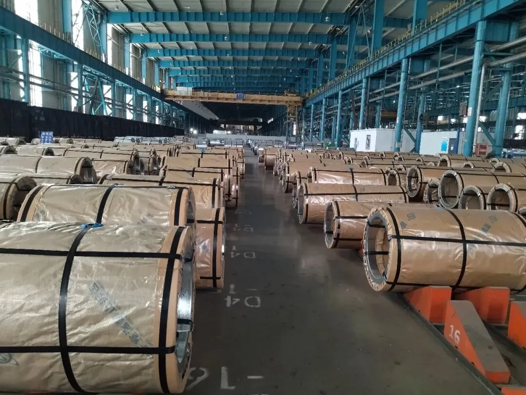 【销售预告】3月26日销售预告