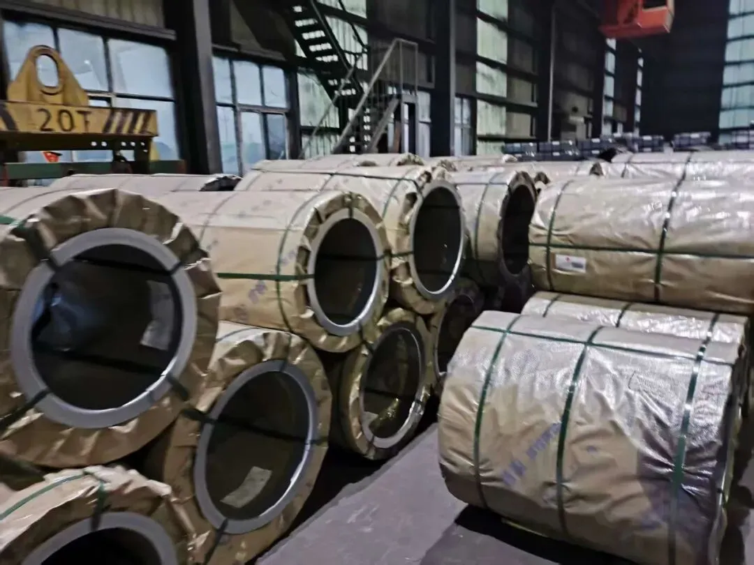 【销售预告】3月26日销售预告