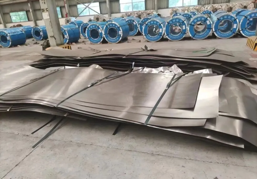 【销售预告】3月26日销售预告