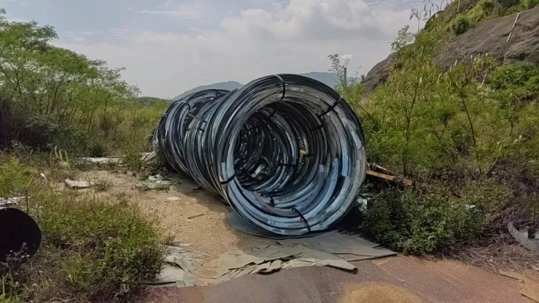 【销售预告】3月26日销售预告