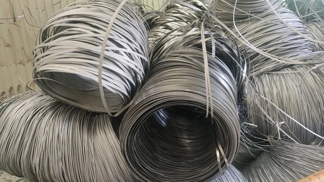 【销售预告】3月26日销售预告