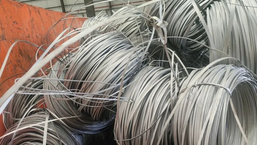 【销售预告】3月26日销售预告