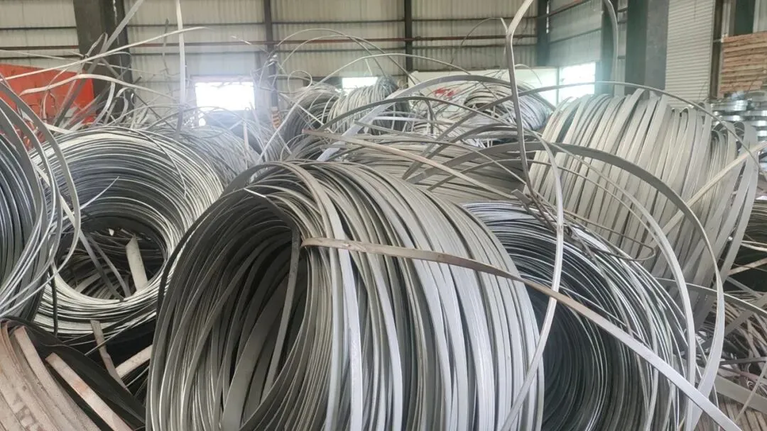 【销售预告】3月26日销售预告