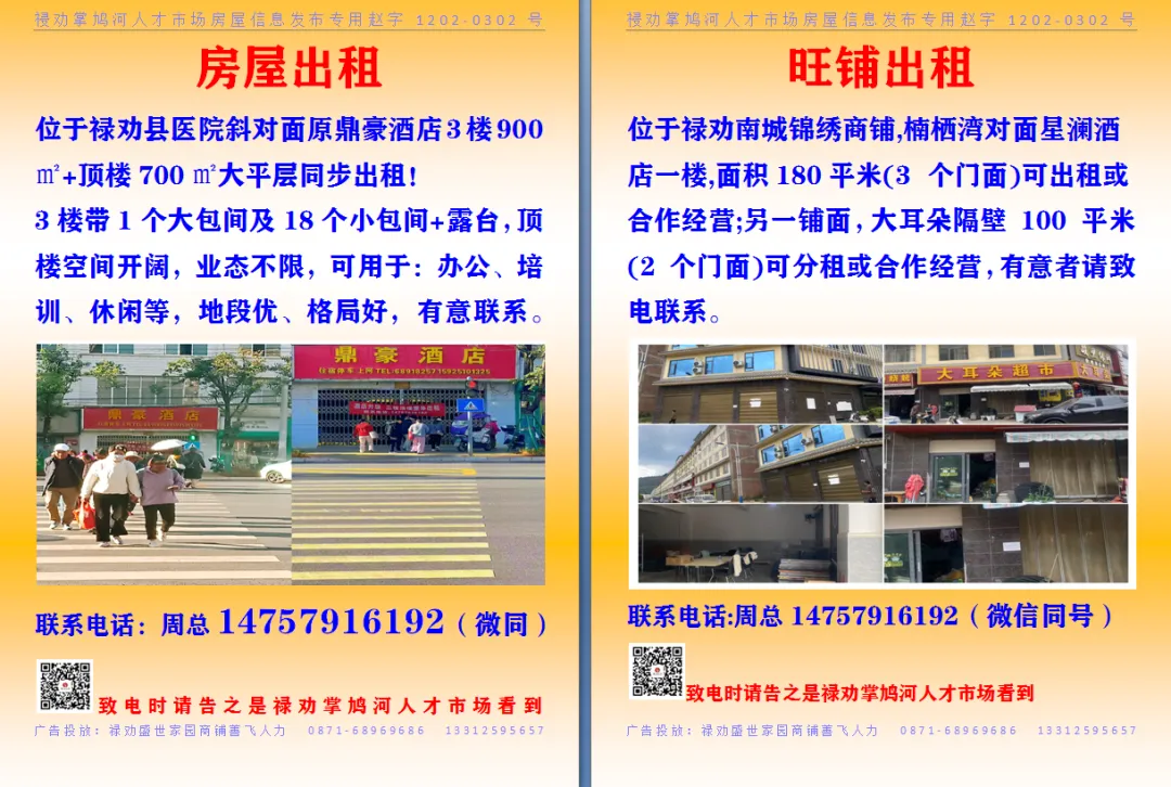 【禄劝房源】禄劝掌鸠河人才市场房源,房屋出租出售、商铺转让信息汇总.