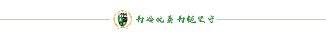 报告首发 | 2026农批市场发展趋势报告