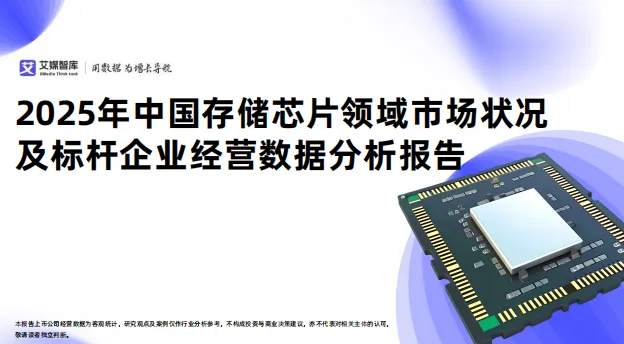 中国存储芯片领域市场状况及标杆企业经营数据分析报告-66页