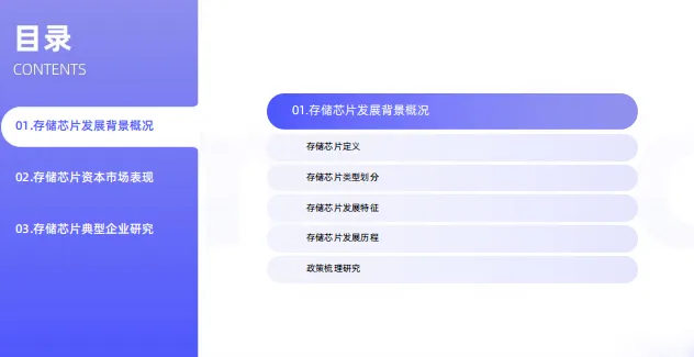 中国存储芯片领域市场状况及标杆企业经营数据分析报告-66页