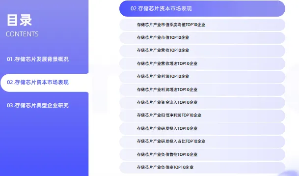 中国存储芯片领域市场状况及标杆企业经营数据分析报告-66页