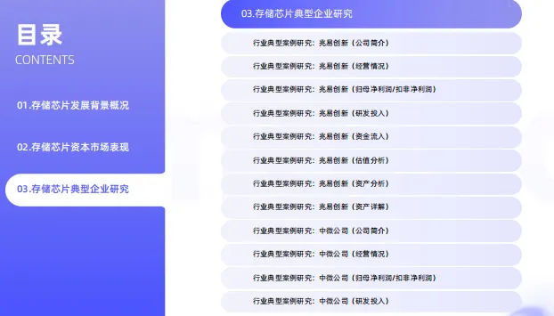 中国存储芯片领域市场状况及标杆企业经营数据分析报告-66页