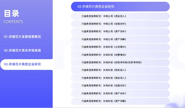 中国存储芯片领域市场状况及标杆企业经营数据分析报告-66页