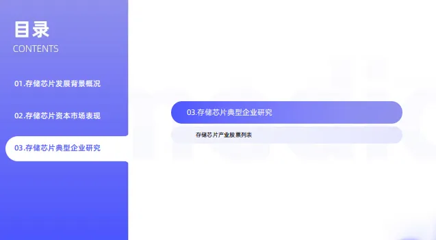 中国存储芯片领域市场状况及标杆企业经营数据分析报告-66页