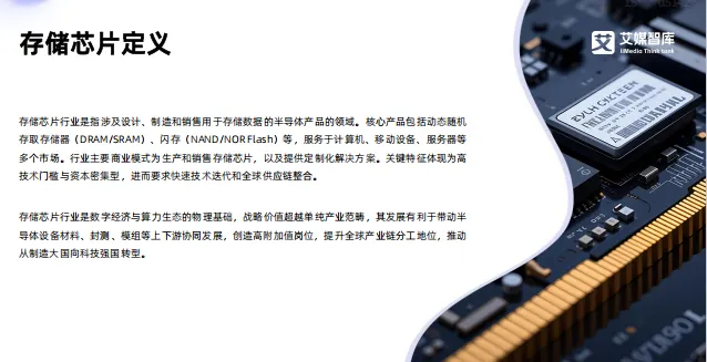 中国存储芯片领域市场状况及标杆企业经营数据分析报告-66页