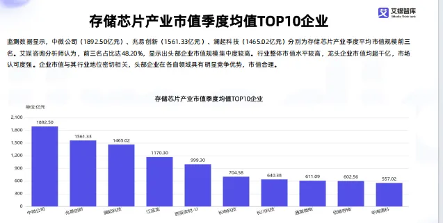 中国存储芯片领域市场状况及标杆企业经营数据分析报告-66页