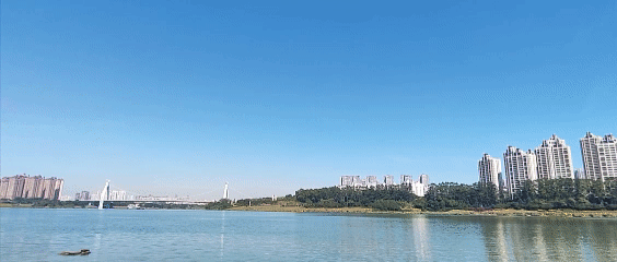 从游乐园到便民市场:南宁一场悄然走心的民生转型