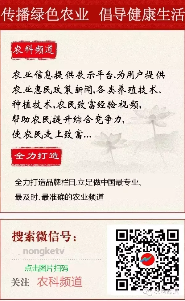 价格博弈春耕化肥市场透析