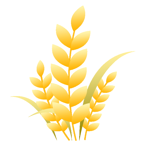 3月25日中午,安丘市场,上货不多,行情继续疲弱!交易氛围低迷!