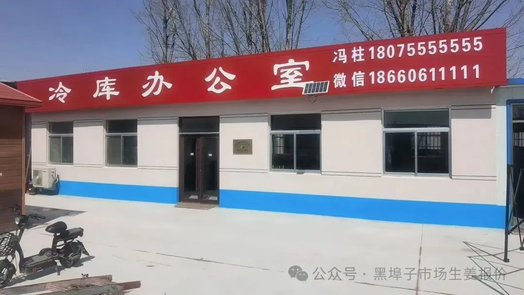 3月25号中午,黑埠子泥姜市场截止11点30市场上货少.价格落5分左右,耘上免费开户而且给红包